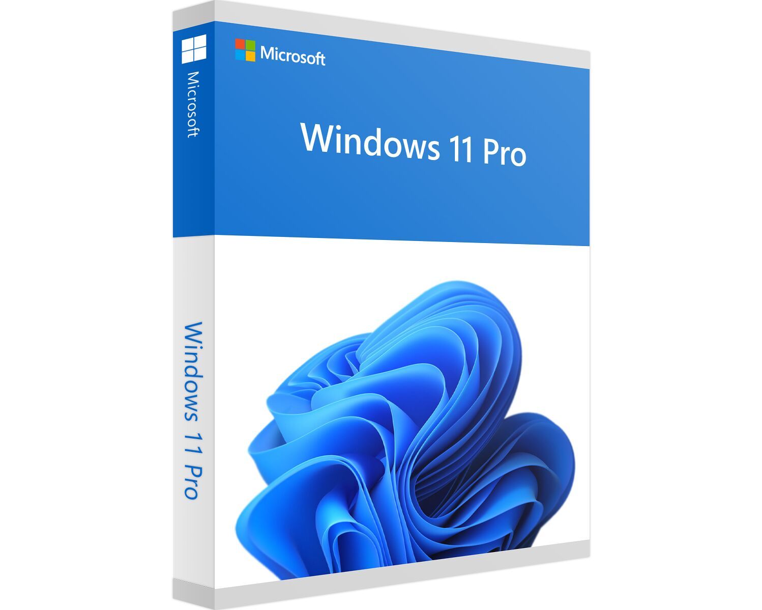 Microsoft MS Windows 11 Professional NL FPP